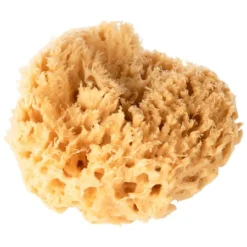 Éponge De Bain Naturelle PREMAMAN : Comparateur, Avis, Prix